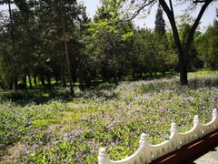 -森林公园(尖草坪区)