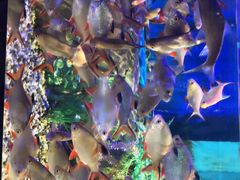 -石林冰雪海洋世界