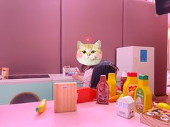 -水桶王国主题餐厅·聚会·生日派对·亲子活动·家庭套餐(亚龙湾希尔顿店)