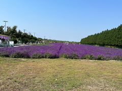 -嘉北郊野公园