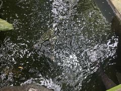 -青青世界