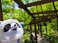 -大岭沟猕猴桃谷风景区