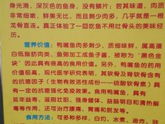 -鸿渡渔庄·特色鸭咀鱼