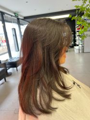 -付军剪艺JF ProSalon