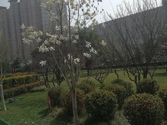 -经纬广场