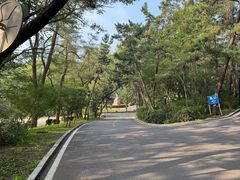 -棒棰岛宾馆景区