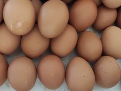 -朱記糯米蛋糕(千川百货店)