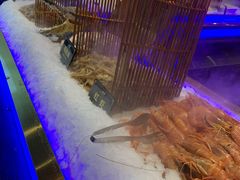 -九月海·海鲜自助(世纪东方店)