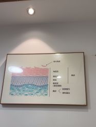 -上海华美医疗美容医院