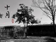 -白鹿原影视城