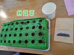 -意大利农场度假村