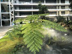 -华大咖啡(华大时空中心店)