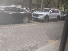 -老雒阳面馆·水席(定鼎门店)