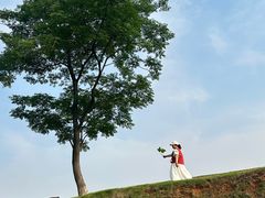 -盘龙城国家考古遗址公园