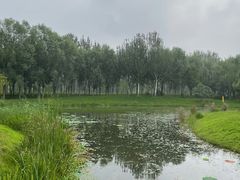 -东郊湿地公园