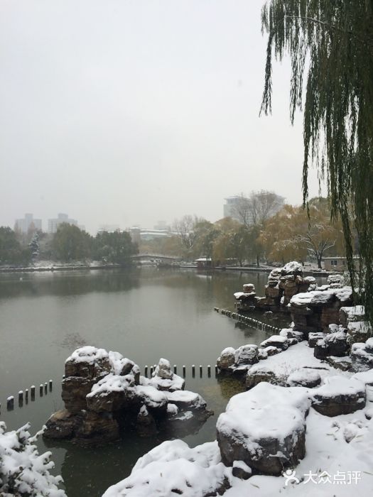 紫竹院公园冰场图片