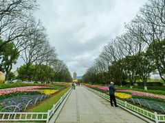 -玄武湖景区-情侣园游乐场