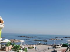 -海合安青岛极地海洋公园