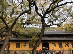-普陀山风景名胜区-法雨禅寺
