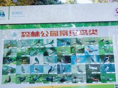 -昆山城市生态森林公园