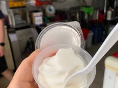 -洪馨椰子