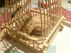 -南城十里潮汕鲜牛火锅·鲜虾生滚粥(融汇老商埠店)