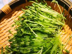 活体豌豆苗-捞王锅物料理(凯旋路店)