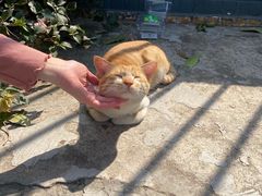 -251#coffee roasters(沿河东路店)