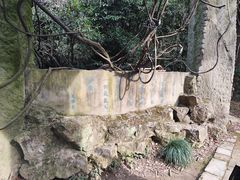 -柯岩风景区