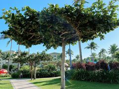 -三亚亚龙湾天域度假酒店