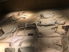 -洛阳周王城天子驾六博物馆