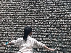 -小洲村