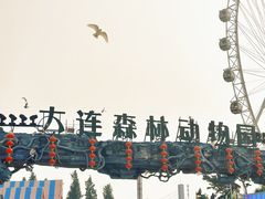 -大连森林动物园