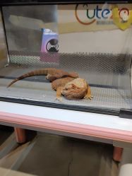 -酷嗒动物文化乐园(cutezoo西溪乐天城店)