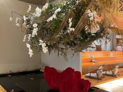 -月龍吟(朝龙汇店)
