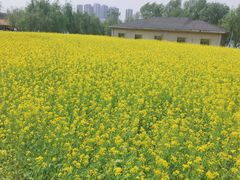 -长白岛森林公园