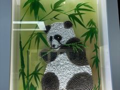 -贝壳王国博物馆