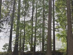 -东湖落雁景区