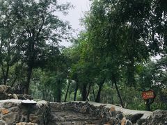 -阳台山自然风景区