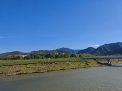 -稻香村鱼庄