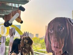 -深圳来福士广场