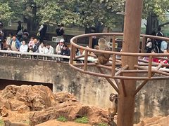 -昆明动物园