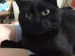 -红星电影世界开元地中海店(RealD杜比全景声)