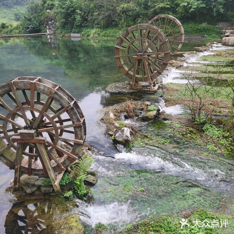 靖西∽游记🌾鹅泉风景区