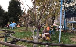 -大望京儿童游乐场