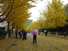 -辽宁大学(崇山校区)