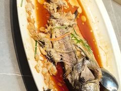 -老山东·山东菜(鲁菜名店)