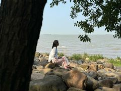 -吴淞炮台湾湿地森林公园烧烤区