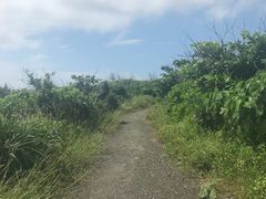 -龙坑生态保护区