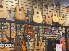 -柏斯琴行(汾阳店)